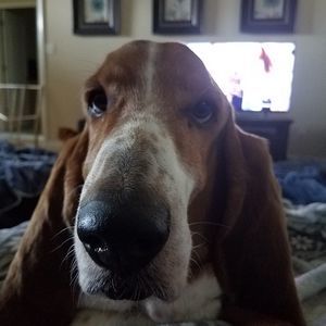 Meet your Posher, Aidan